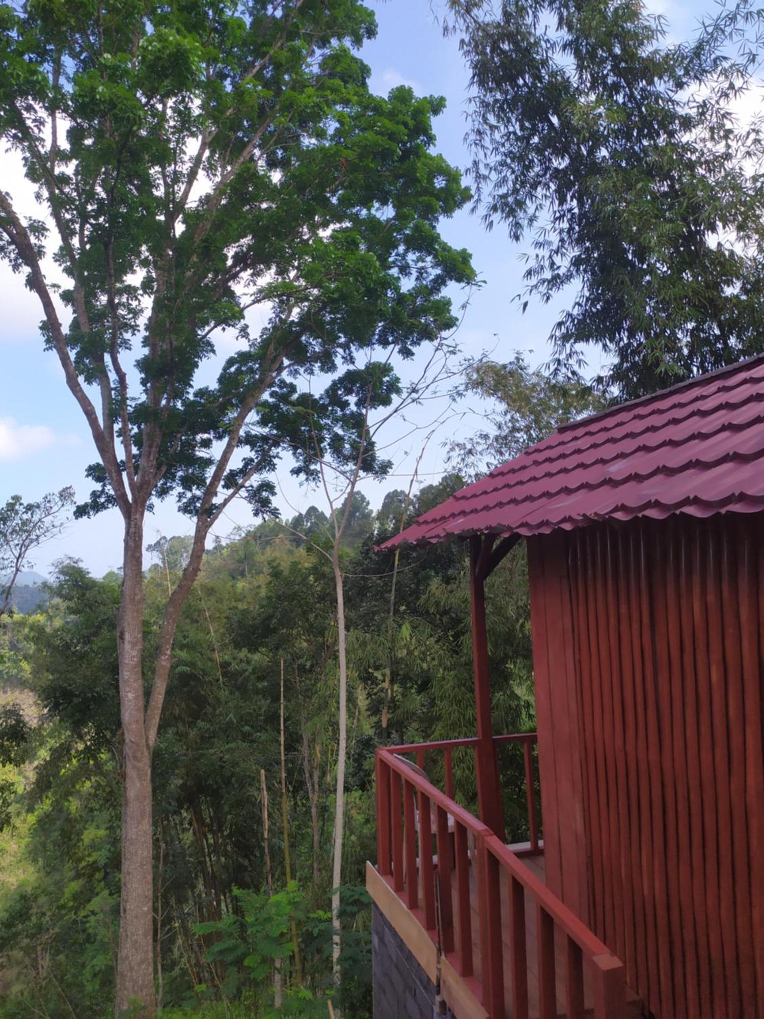 Happy Monkeys Village Sidomukti Exterior foto